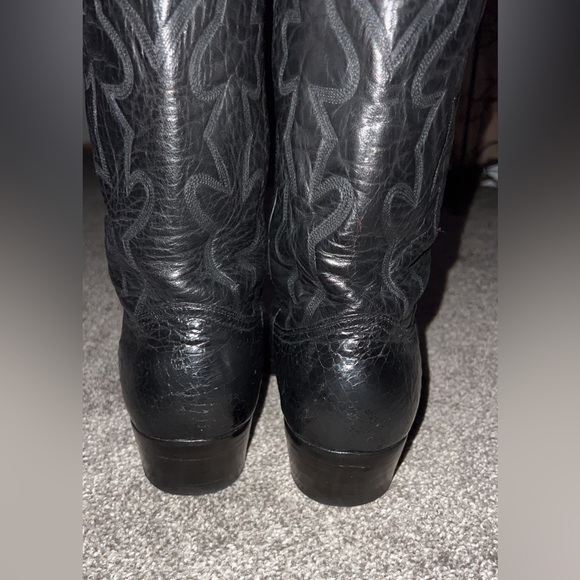 Montana turtles ๐ข๐ข 9.5 D asking 340 - Picture 5 of 10